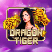 Dragon Tiger live dealer table on phpark
